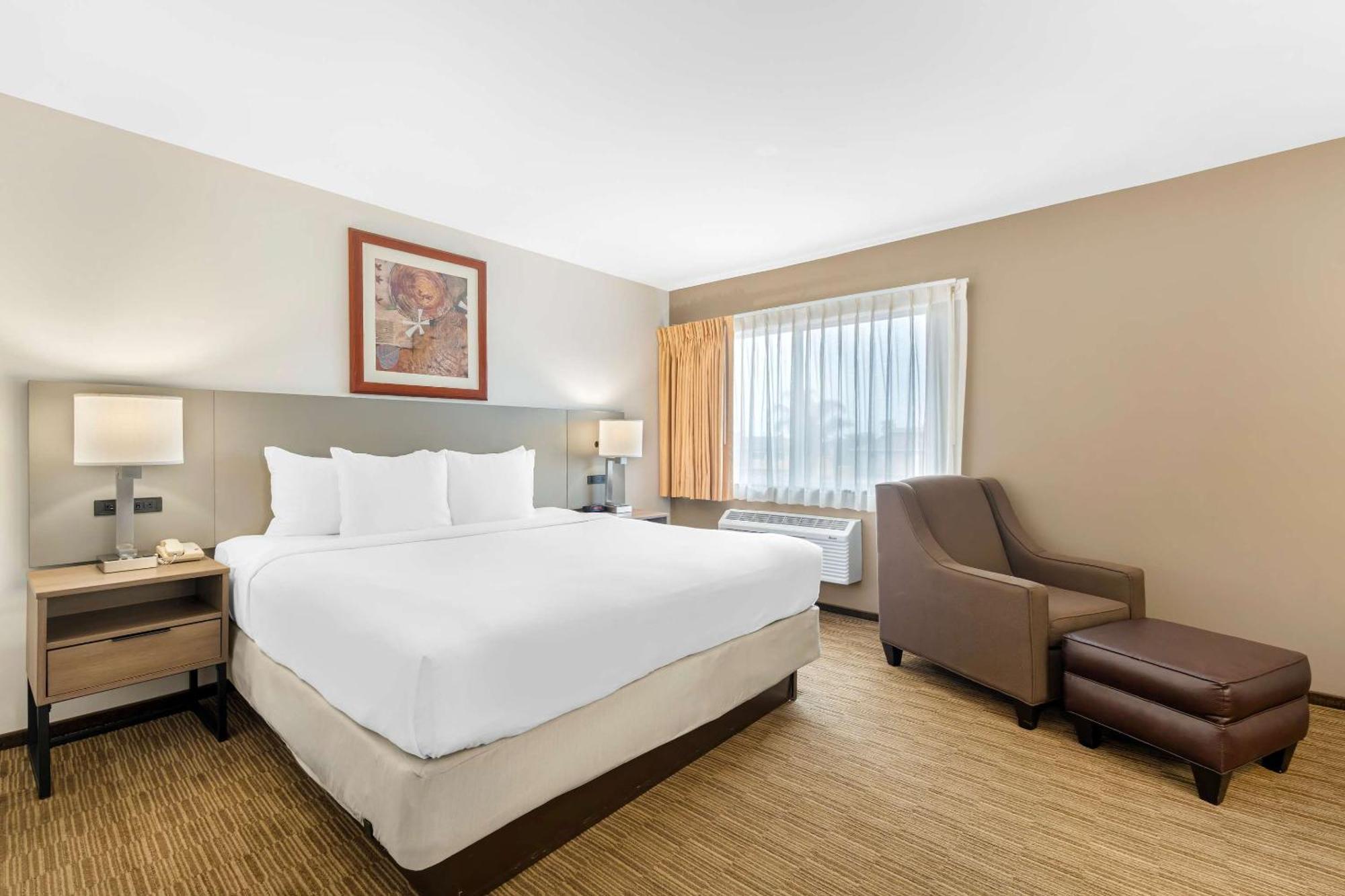 Comfort Inn Cockatoo Near Lax Airport Hawthorne Eksteriør bilde
