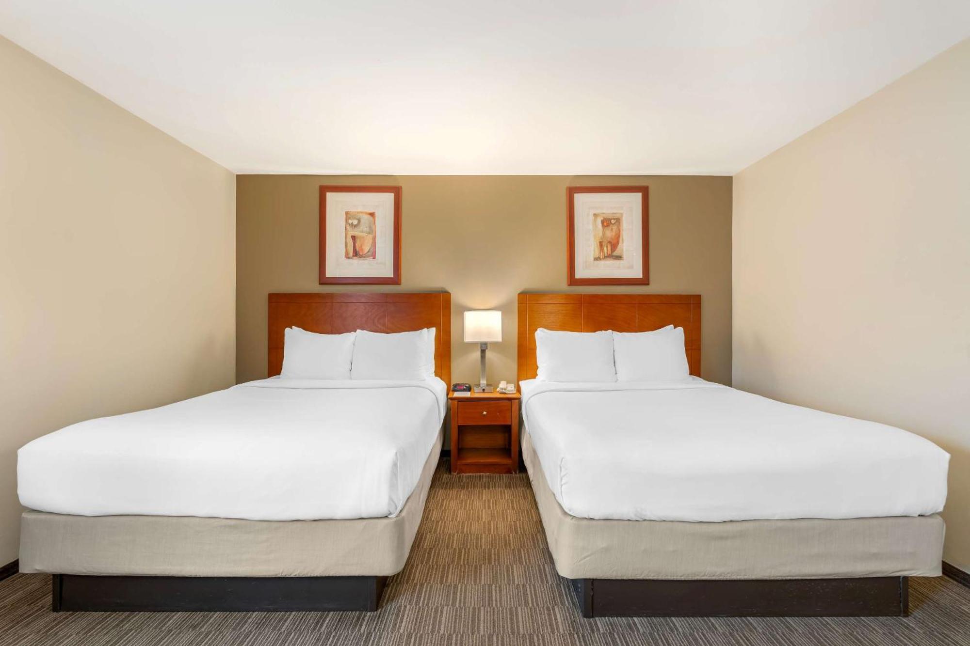 Comfort Inn Cockatoo Near Lax Airport Hawthorne Eksteriør bilde
