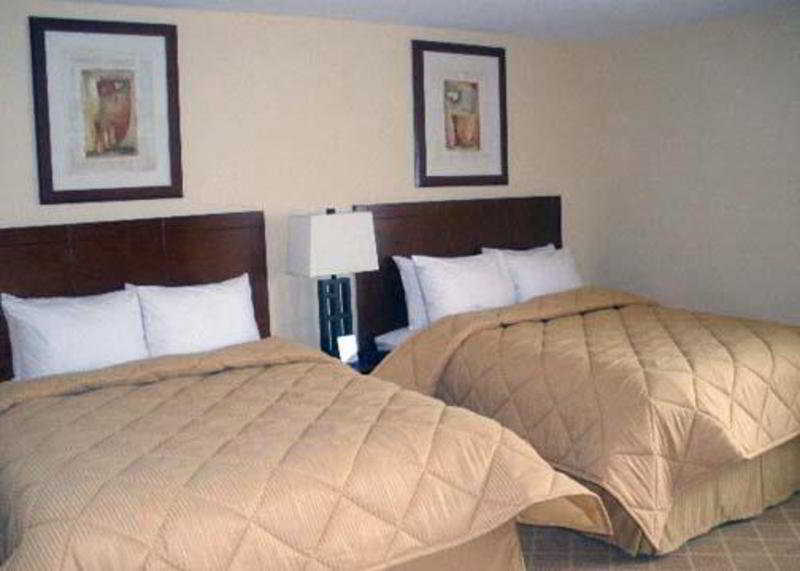 Comfort Inn Cockatoo Near Lax Airport Hawthorne Eksteriør bilde