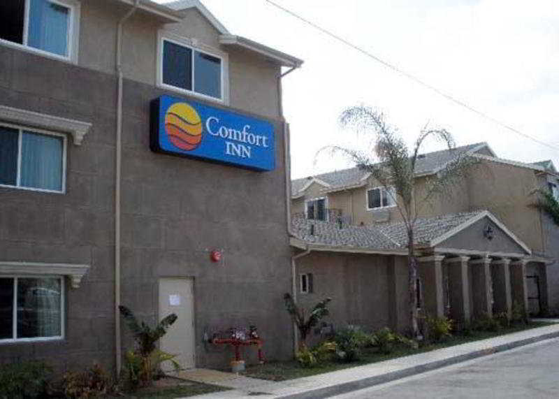 Comfort Inn Cockatoo Near Lax Hawthorne Eksteriør bilde