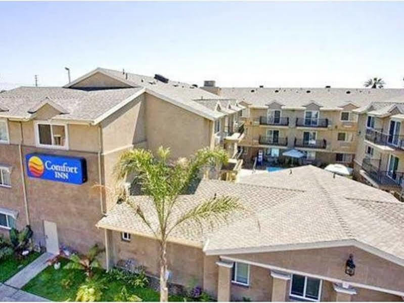 Comfort Inn Cockatoo Near Lax Airport Hawthorne Eksteriør bilde